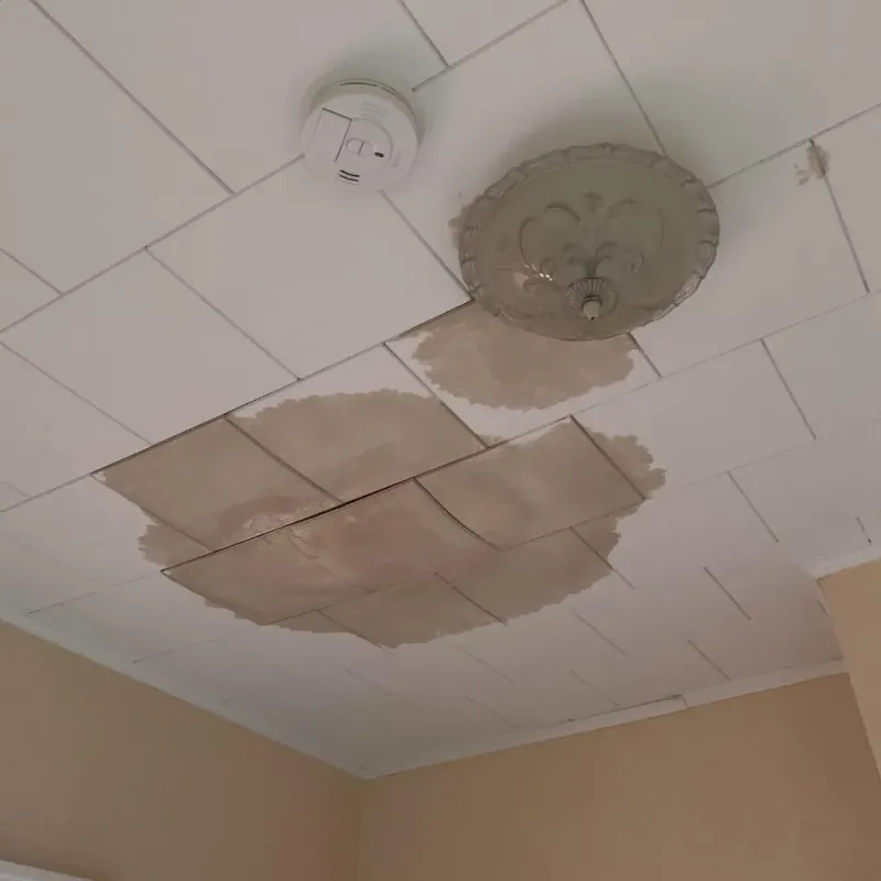 Ceiling Water Damage Repair in Franklin, MA