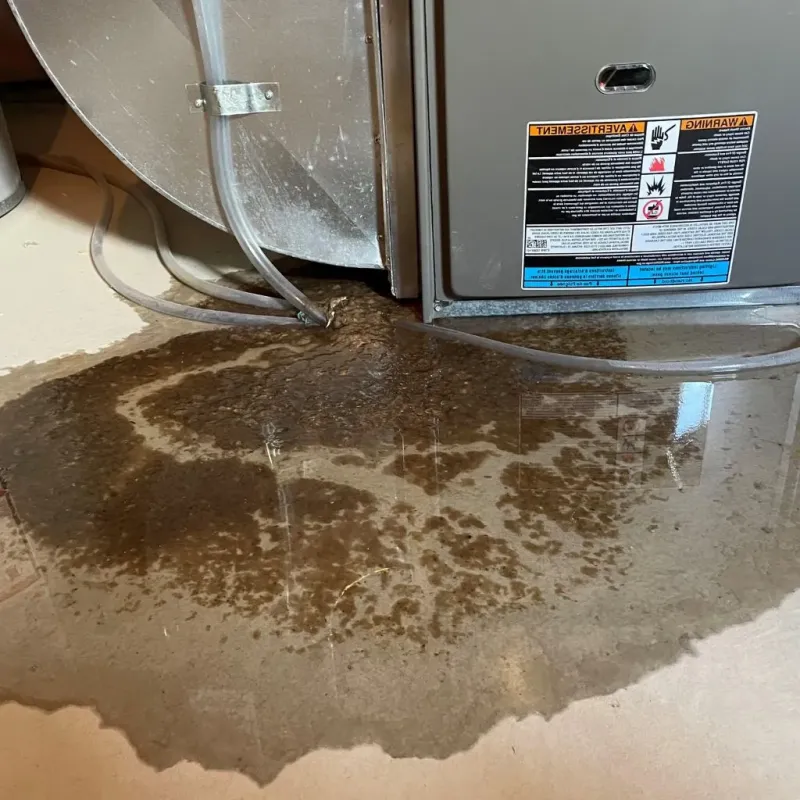 Pipe Burst and Leak Restoration in Franklin, MA